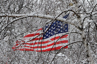 Winter Flag through the Snow, Waukesha