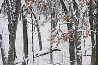 Winter in Wisconsin