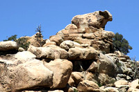 Cow Rock, Joshua Tree N.P., CA