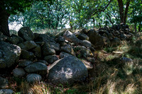 Pope Farm Conservancy - Field Stone Wall
