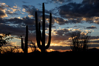 Sunset, Casa Grande Ruins N.M., AZ