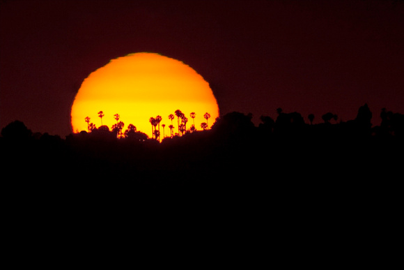 San Diego Sunset, San Diego, CA